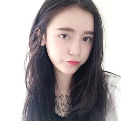 口袋宠物世界下载安装